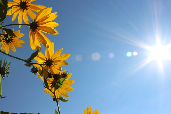 Trauercafé Termine Sommer