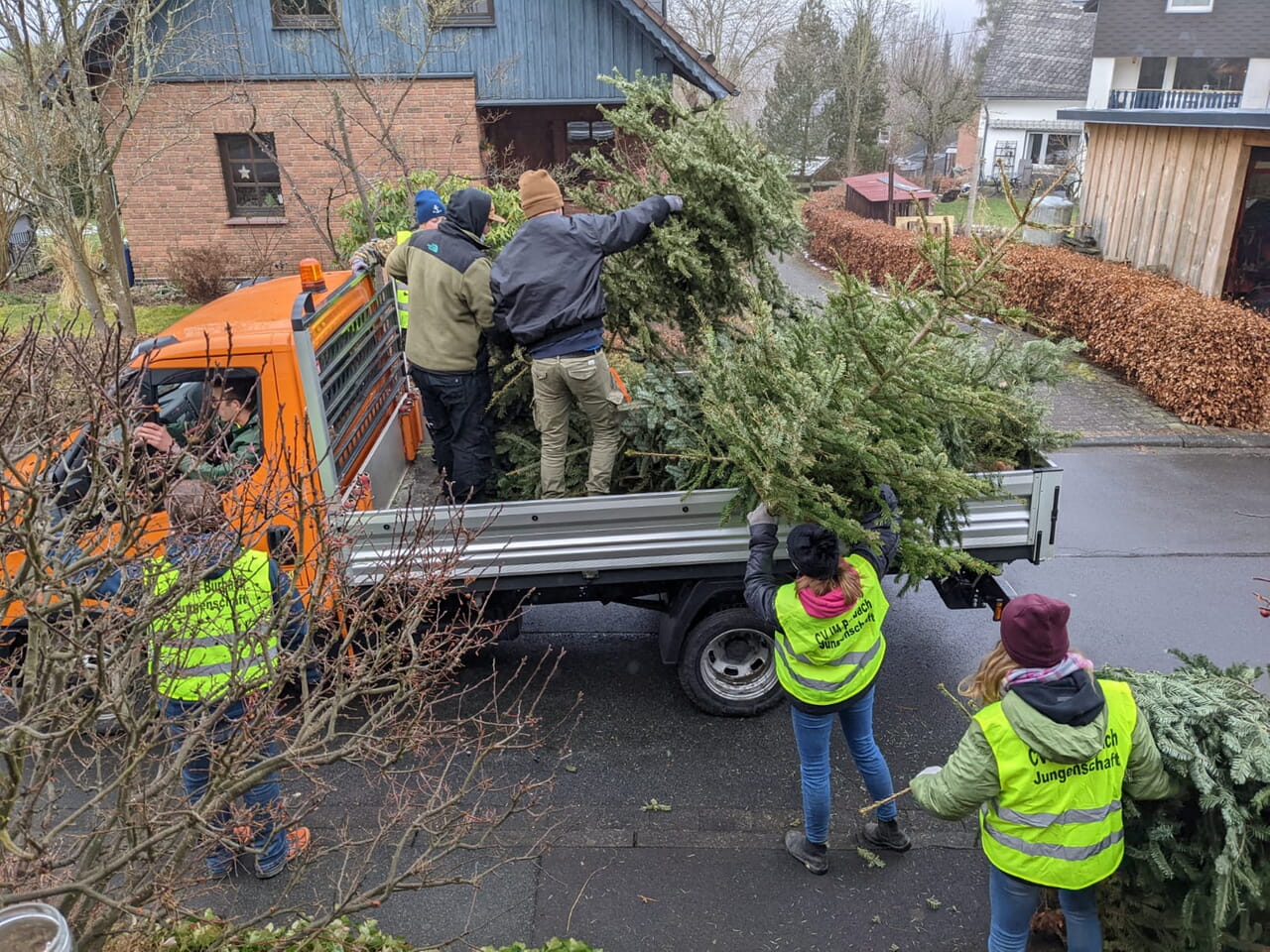 Weihnachtsbaumaktion
